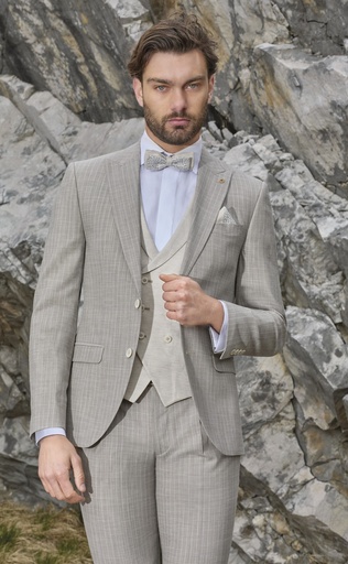 Hochzeitsanzug 8125690